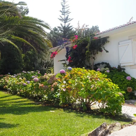 Villa with Books, Sun, Swing Bed, Private Pool And A Spacious Garden To Enjoy