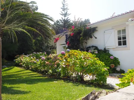 Villa with Books, Sun, Swing Bed, Private Pool And A Spacious Garden To Enjoy Отели рядом с достопримечательностью «Praia D'El Rey Golf Course»