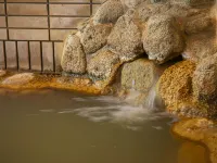 Gomi Onsen فنادق في نايورو