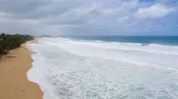 Rose Nest at the beach Puerto Rico