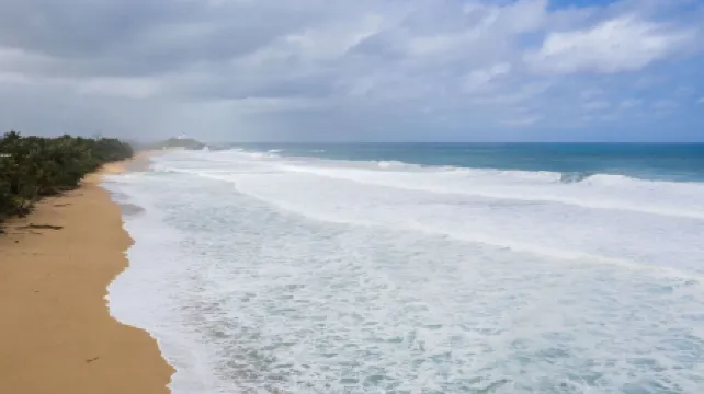 Rose Nest at the beach Puerto Rico