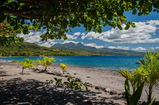 Peaceful villa on the beach - Little Beach House Hotels in Arrondissement of Saint-Pierre