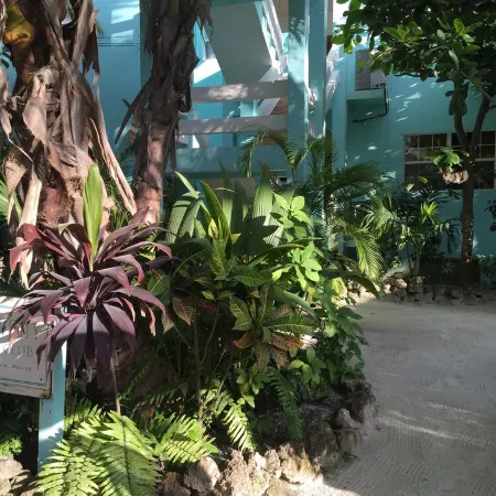 200/night! Perfect beach front condo with gorgeous views!  Ground floor access!
