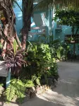 200/night! Perfect beach front condo with gorgeous views!  Ground floor access! Hotels in 