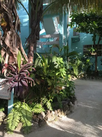 200/night! Perfect beach front condo with gorgeous views!  Ground floor access!