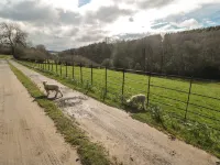 Norah's Nook Hotels in Farndale West