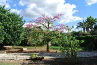 Agroturisme Son Pons