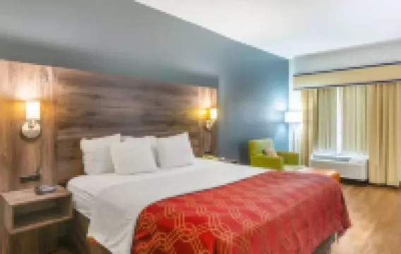 皇家棕櫚旅店 雷克斯酒店