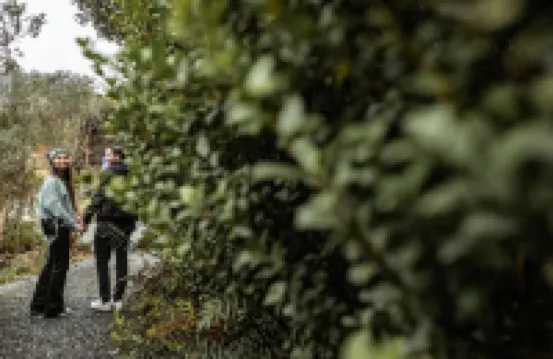 Hotel Termales del Ruiz Hotel a 