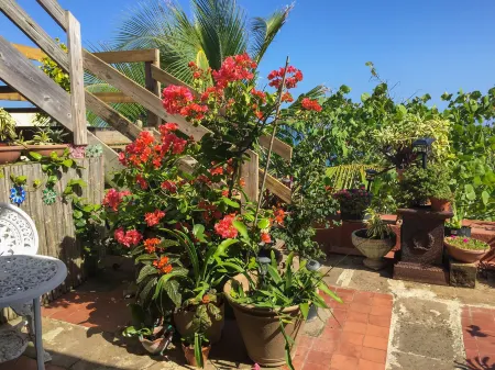 The Gallery Inn Отели рядом с достопримечательностью «Old San Juan Art Gallery»