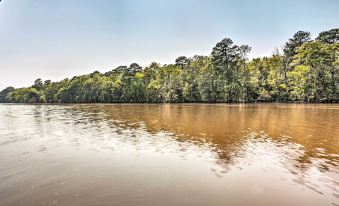 Sues Camp w/ Caddo Lake Access & Dock!