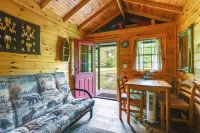 Custom-Built Clarklake Cabin: Sauna & Cold Plunge! - Pet friendly