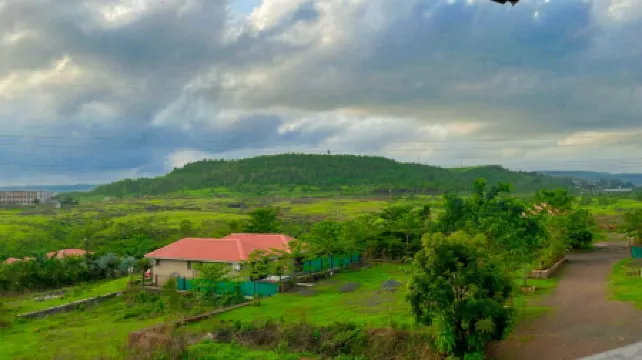 Shrubbery Palms Resort