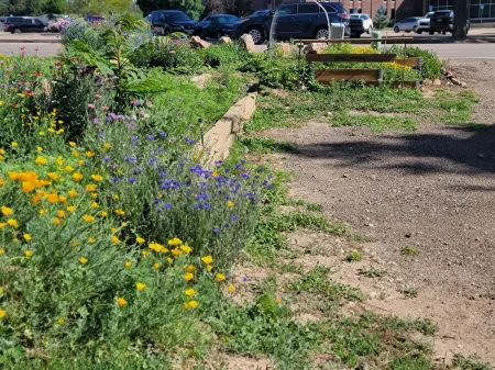 Cozy basement apartment Отели рядом с достопримечательностью «Библиотека Каунсил Три»