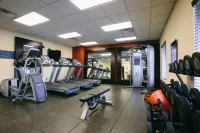Hampton Inn & Suites Effingham - Kuntosalit