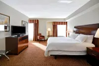 Hilton Garden Inn Tampa/Riverview/Brandon Hotels near Sacred Heart Knanaya Catholic