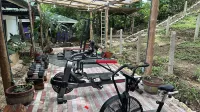 Jungles Edge Hotel, Jiu Jitsu, Muay Thai Retreat Center - Gym