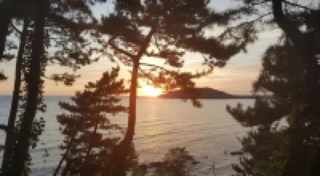 서천 바다향기펜션