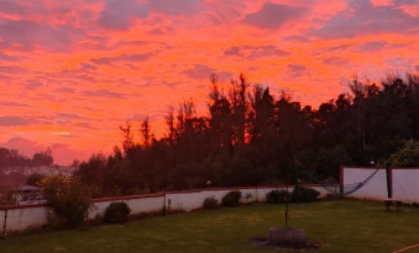 Rosewood by Nature Resorts and Stays