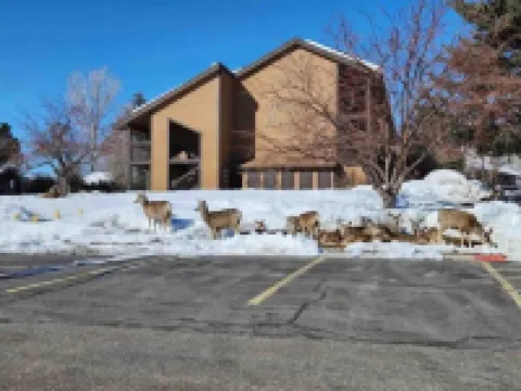 Charming condo w/ king bed, hot tub, pool, minutes away from world class skiing