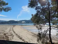 Kamala Estudio Ponte Caldelas