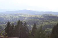 The old customs house apartment dormouse