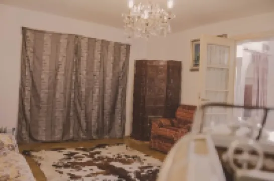 The castle Brasov RO