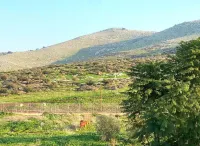 Casa Gilboa - The perfect country getaway. Hotels in Gan Ner