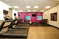 Hampton Inn and Suites Aurora South Denver - Gym