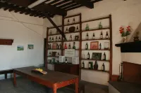 OLIVE TREES - FARMHOUSE ESTATE SAN DONATO
