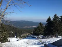 "Pure nature.. Vacation in the Harz Mountains
