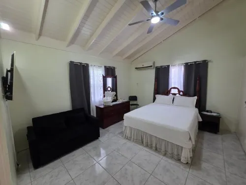 Tropical Blessings-Ocho Rios/Rental Car Available