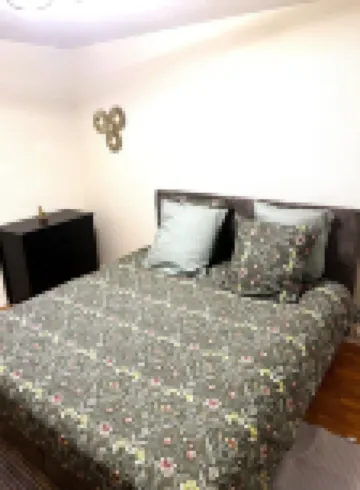 Charmant Appartement à Metz - Proximité Gare