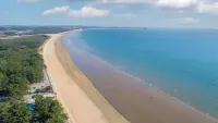 Taean Amado Pension