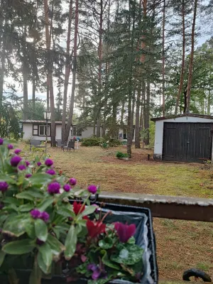 "Villa Luca" relaxation in the middle of the forest - near the Klaistow asparagus farm Hotels in Beelitz