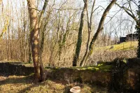 Georgenthal monastery quarter Hotels in Georgenthal