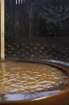 極楽温泉 匠の宿 - 温泉