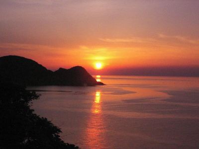 ホテル周辺 城崎温泉 お宿 白山 花まんだらの写真