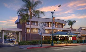 Best Western Plus Park Place Inn - Mini Suites