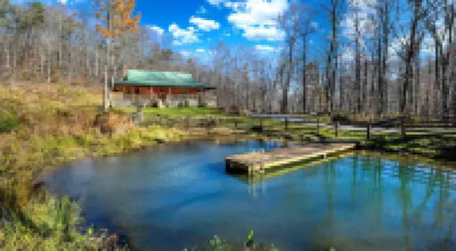 Charming Blue Ridge Cabin Private Pond and Waterfall Deer Haven by AvantStay