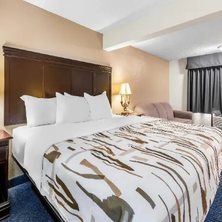 Rodeway Inn
