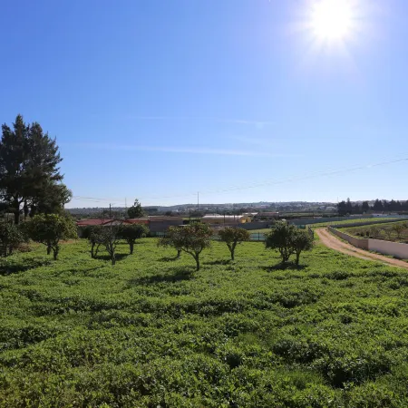 X 10 - 2 Bed Apartment in Quinta da Ponte