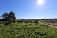 X 08 - 1 Bed Apartment in Quinta da Ponte