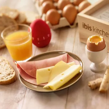 Ibis Strasbourg Sud la Vigie