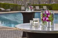 Renaissance Orlando Airport Hotel - Pool