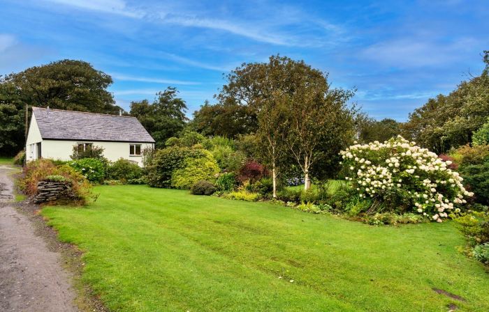 Studio in Cornwall Near Tintagel Castle