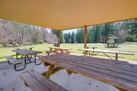 Cozy Ashford Home - 5 Mi to Rainier Natl Park! - 3-Star