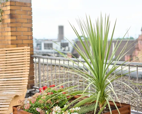 EXo Individual Hotel Mannheim - by SuperFly Hotels بالقرب من الفندق Photos