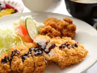 Nishiakashi Rincarn Hotel - 2-Star