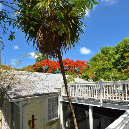 The Garden House